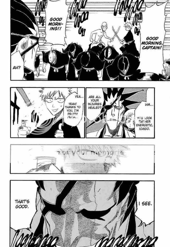 Bleach Comic Strips. *post your own or some youve found* - The Gotei 13 ...