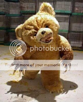 teddy Pictures, Images and Photos