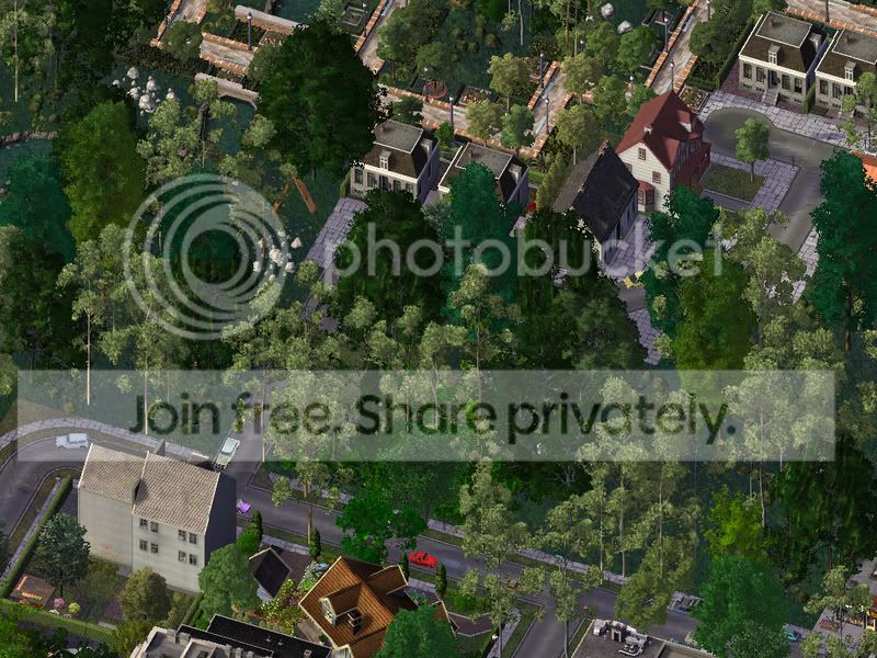 CentralGrove-trees.jpg