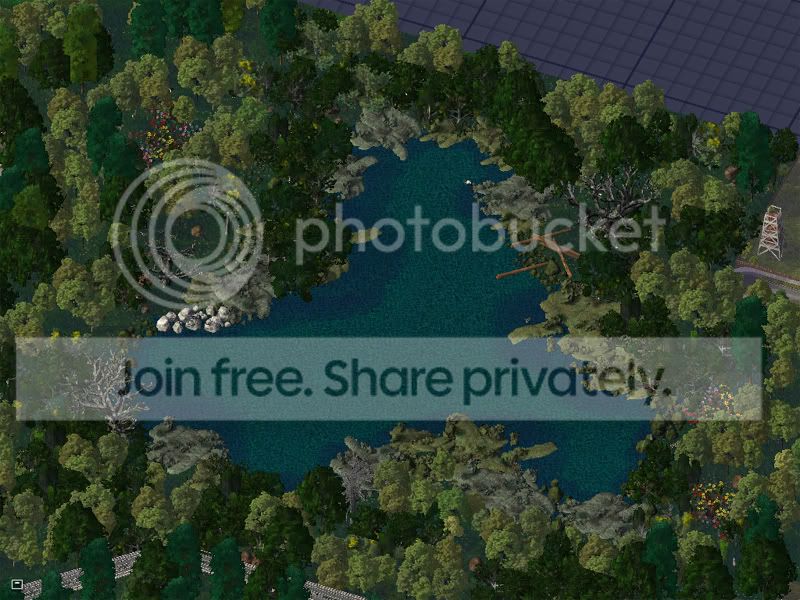 NATURE.jpg