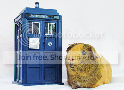 AmyPond2_zps44fcb17a.png