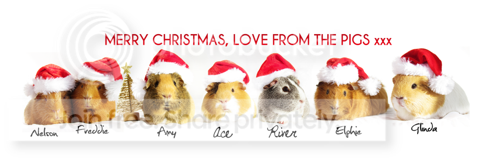 MerryPigmas-003.png