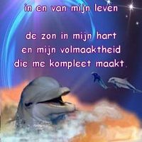 Liefde Versjes By Crazyindootje Photobucket